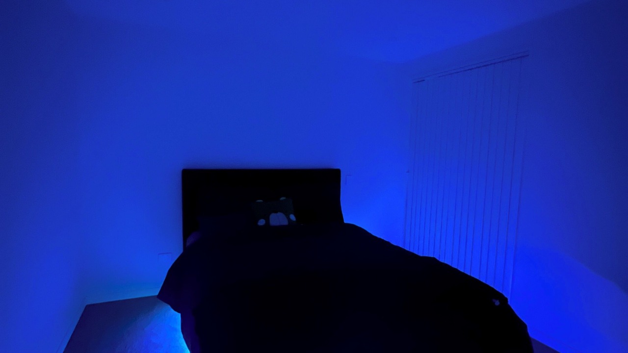 Photo of Bedroom in Takanini