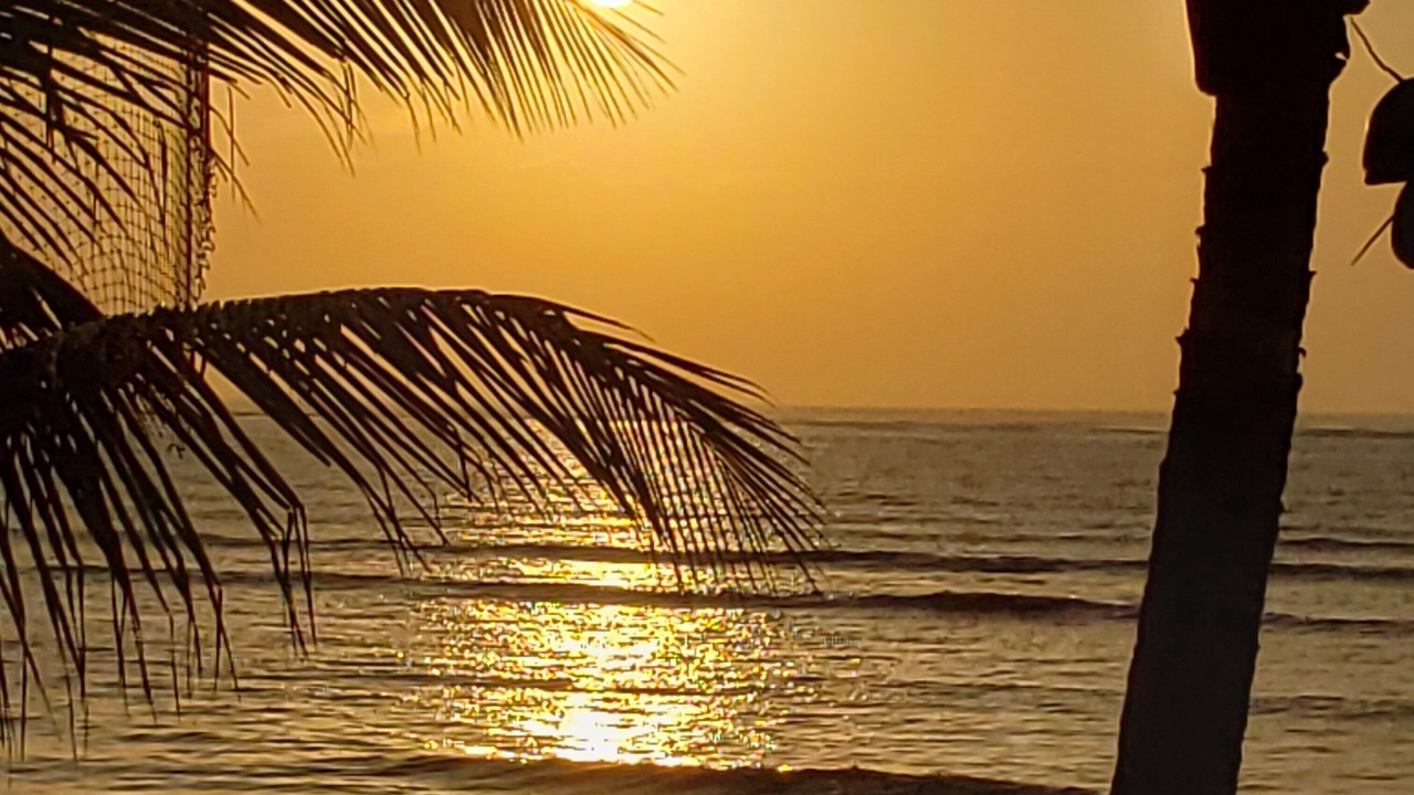Photo of Others in Soliman Bay