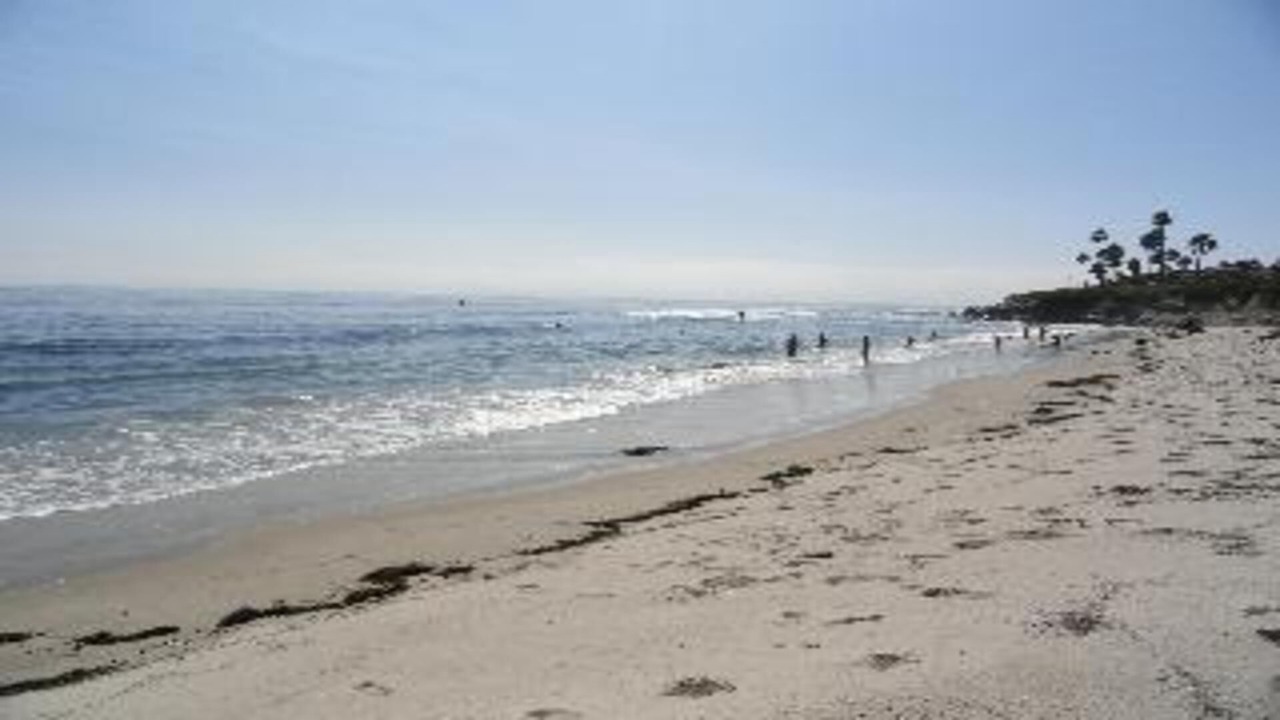 Photo of Others in Las Gaviotas