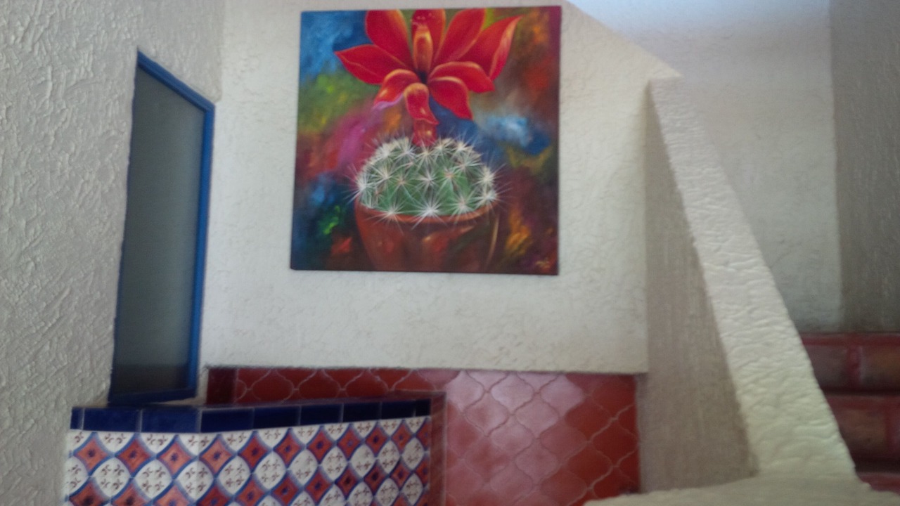 Photo of Outdoor in Las Gaviotas