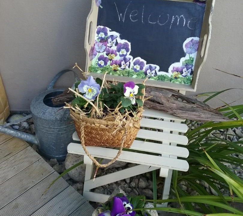 Photo of Others in Nelson South