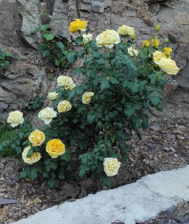 Photo of Others in Real de Catorce