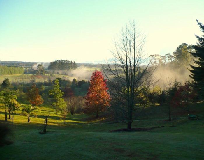 Photo of Others in Kerikeri
