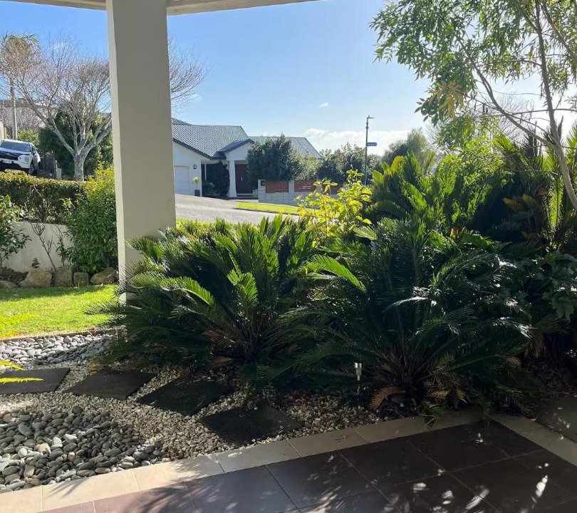 Photo of Others in Tauranga