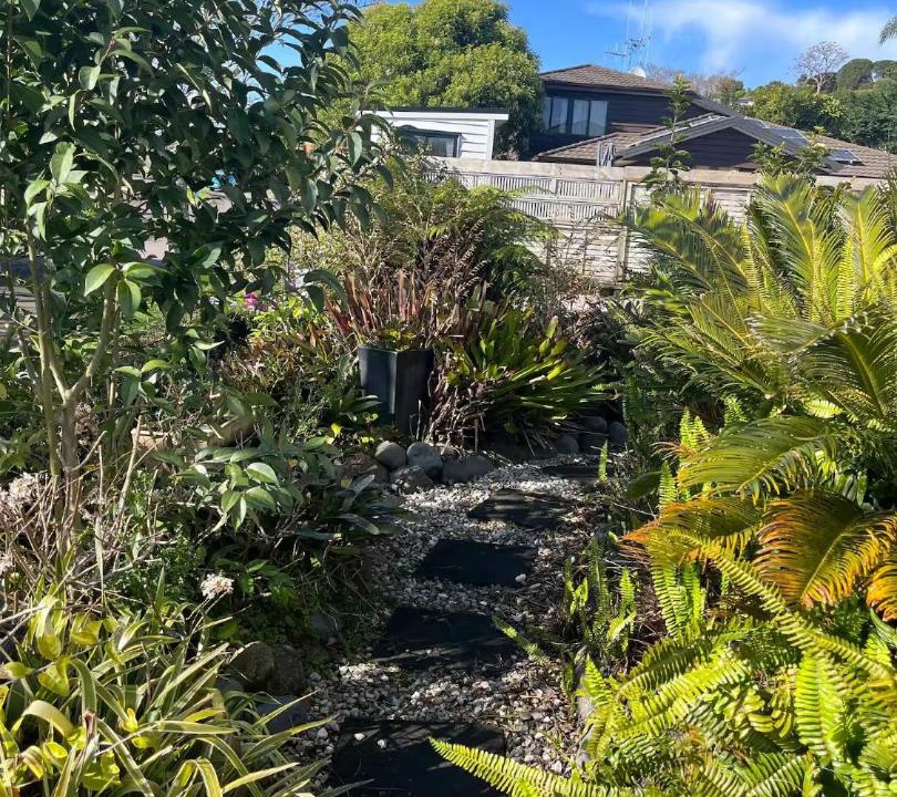 Photo of Others in Tauranga