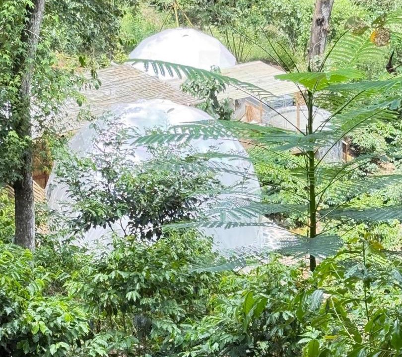 Photo of Outdoor in Xalapa