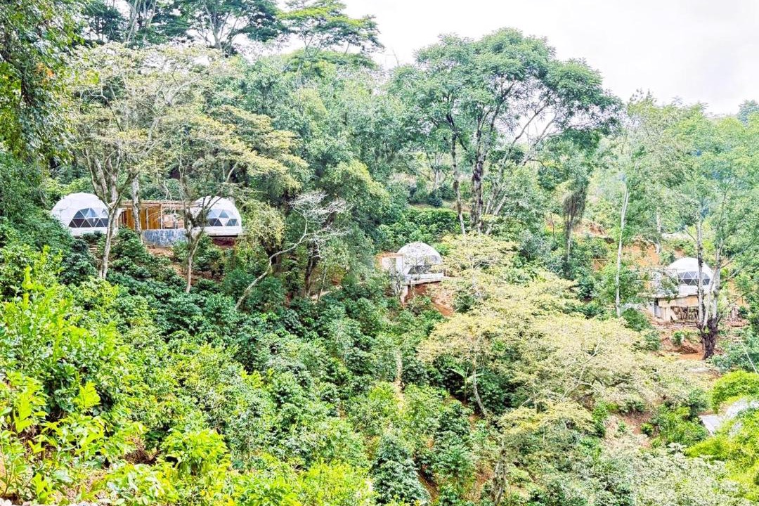Photo of Others in Xalapa