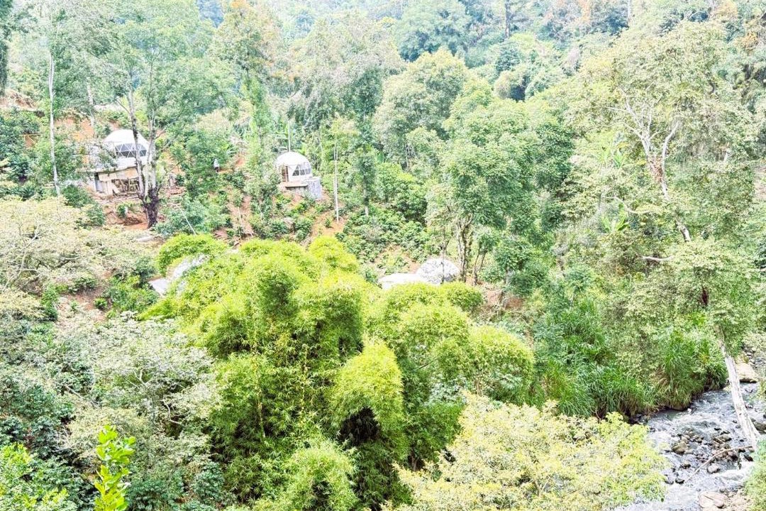 Photo of Others in Xalapa