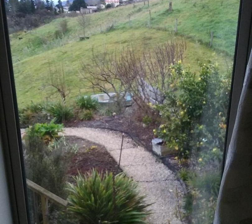 Photo of Others in Nelson South
