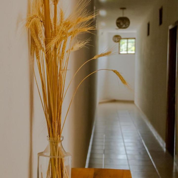 Photo of Others in Ixtapa - Zihuatanejo
