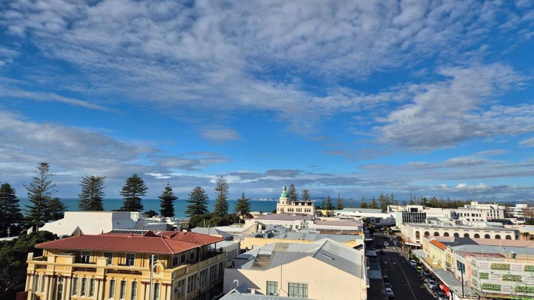 Photo of Others in Napier
