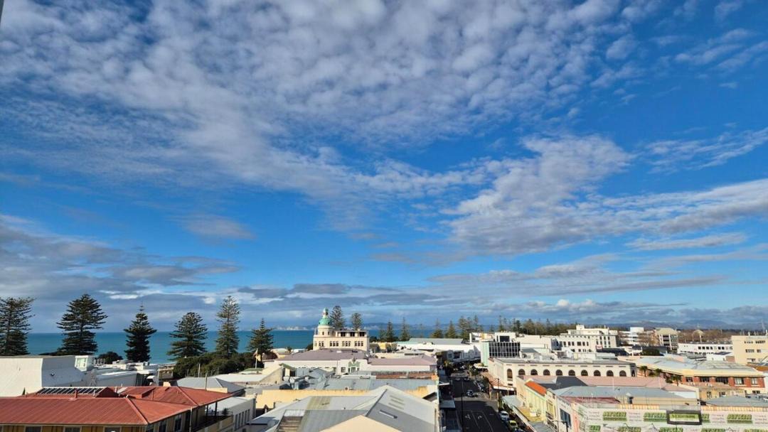 Photo of Others in Napier