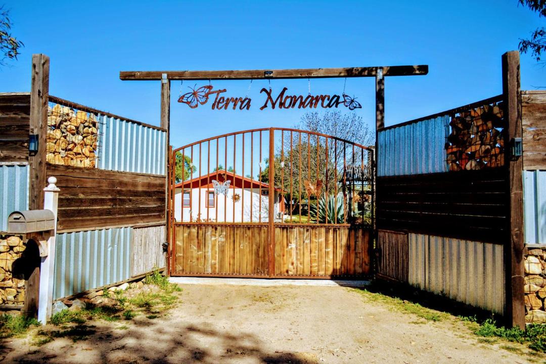 Photo of Others in Valle de Guadalupe