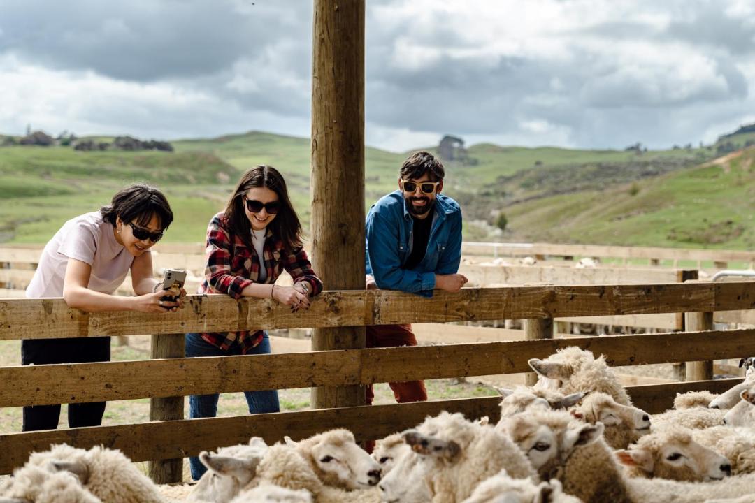 Photo of Others in Te Akau