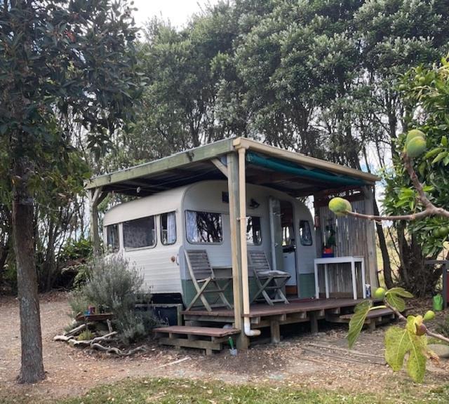 Photo of Others in Mangonui