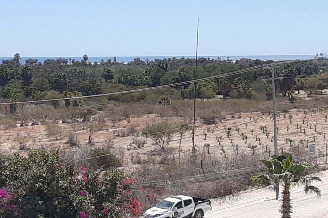 Photo of Others in San Jose del Cabo