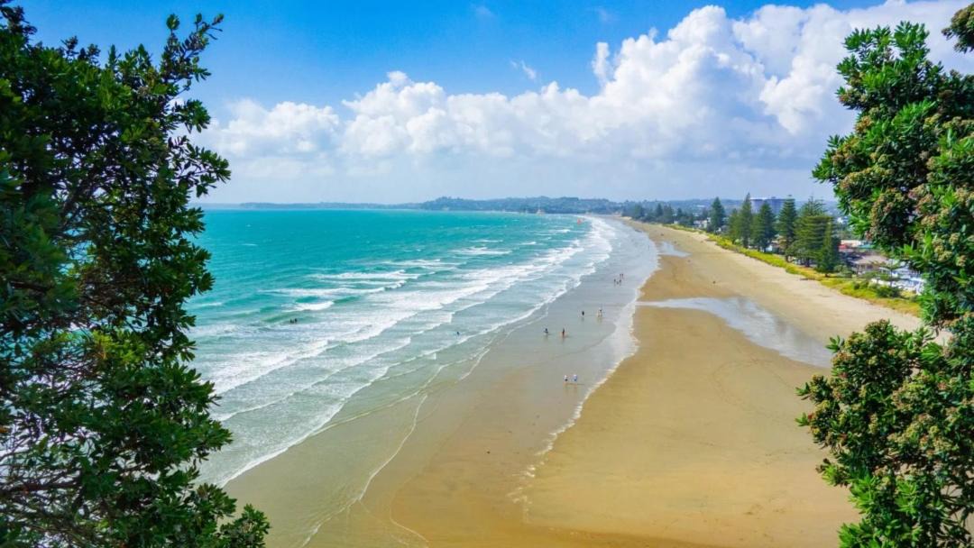 Photo of Others in Orewa