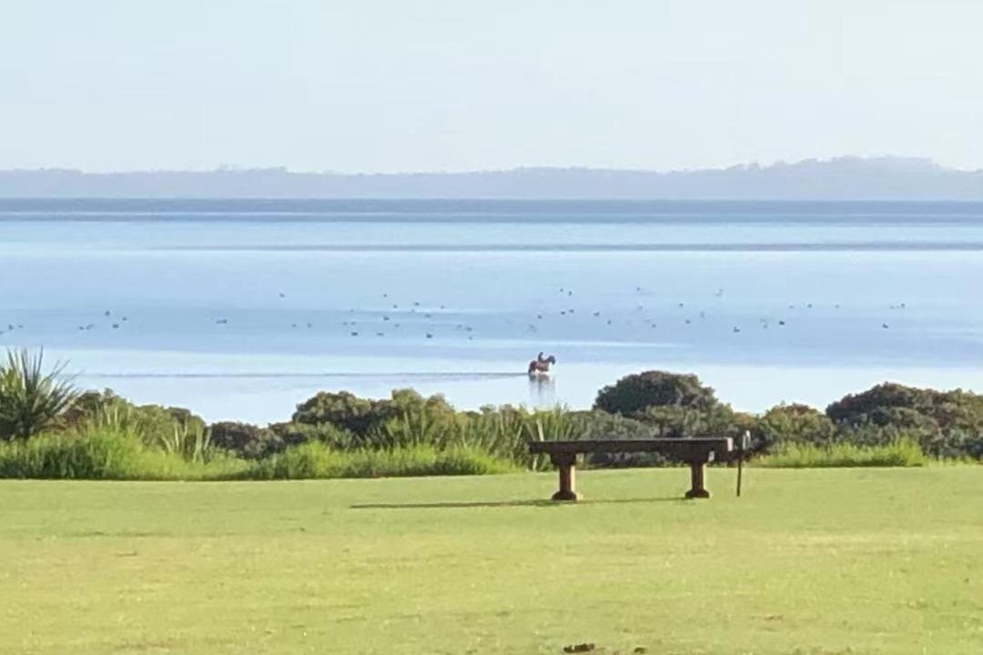 Photo of Others in Clarks Beach