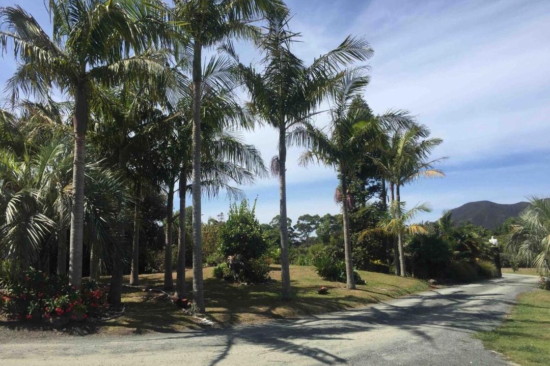 Photo of Outdoor in Pukenui