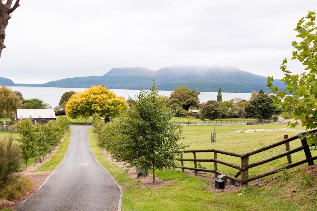 Photo of Others in Lake Tarawera