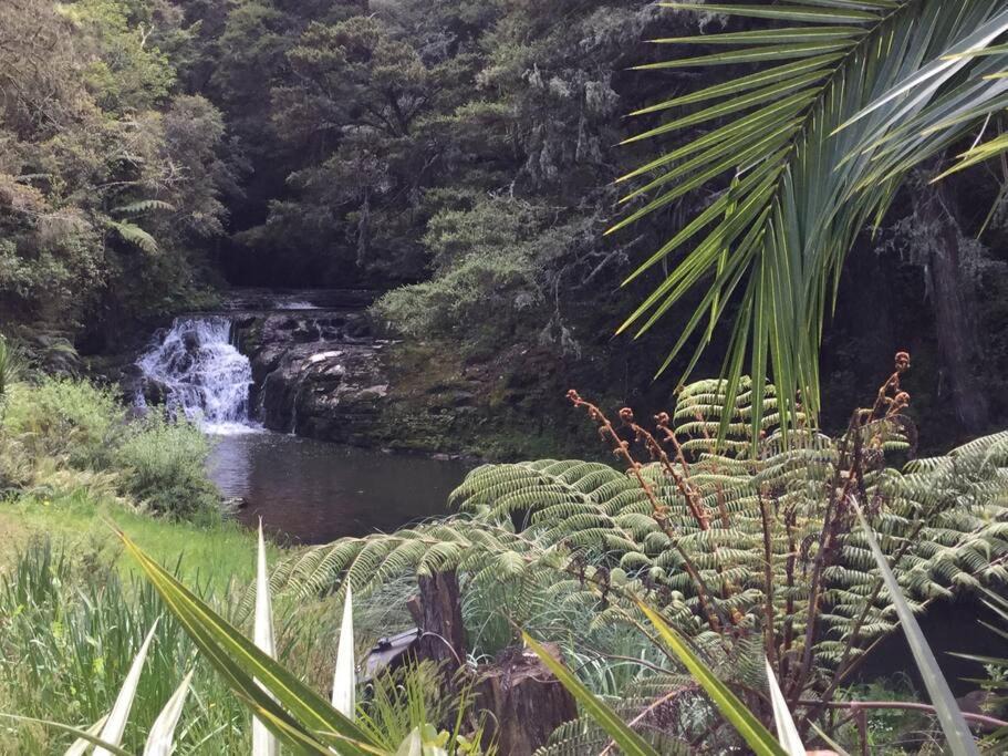 Photo of Others in Matakana