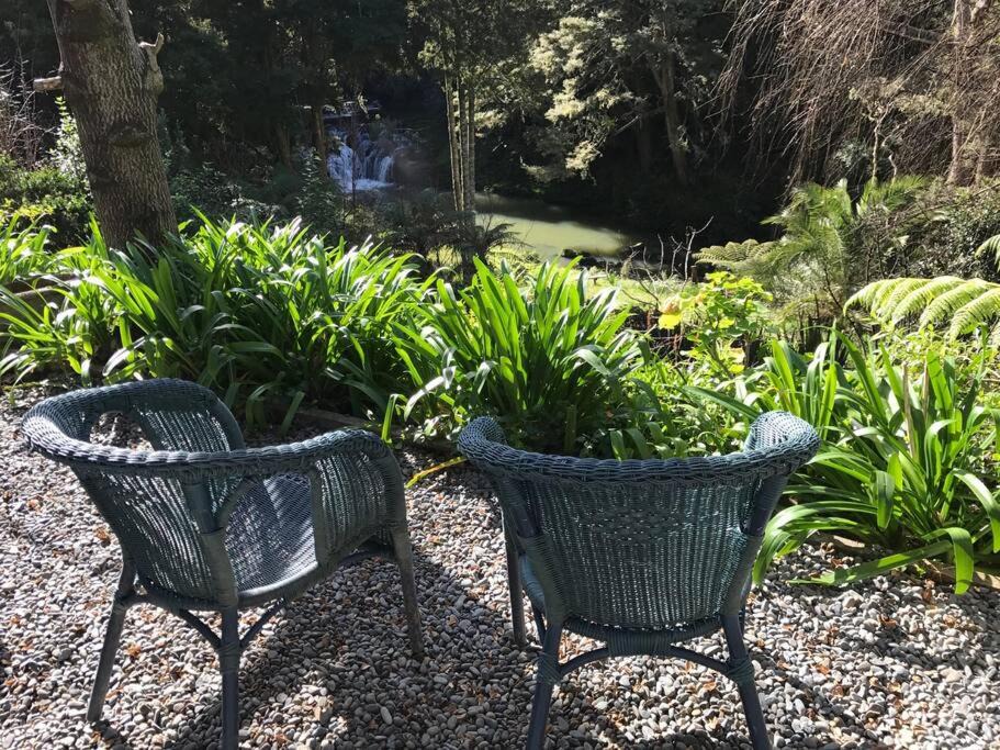 Photo of Others in Matakana