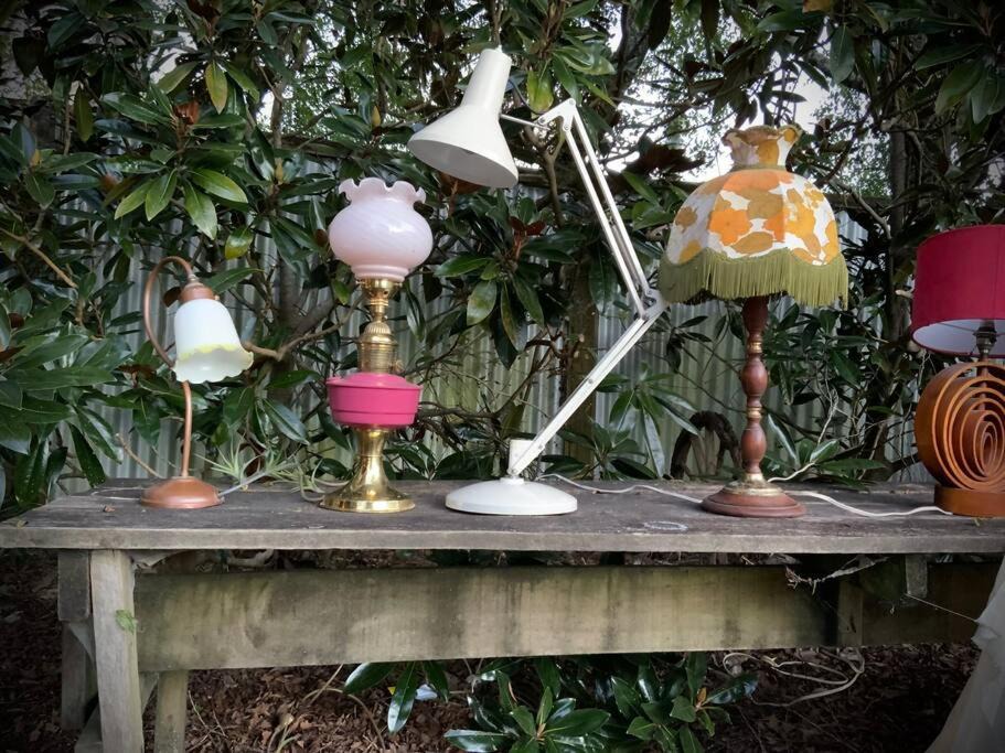 Photo of Others in Matakana