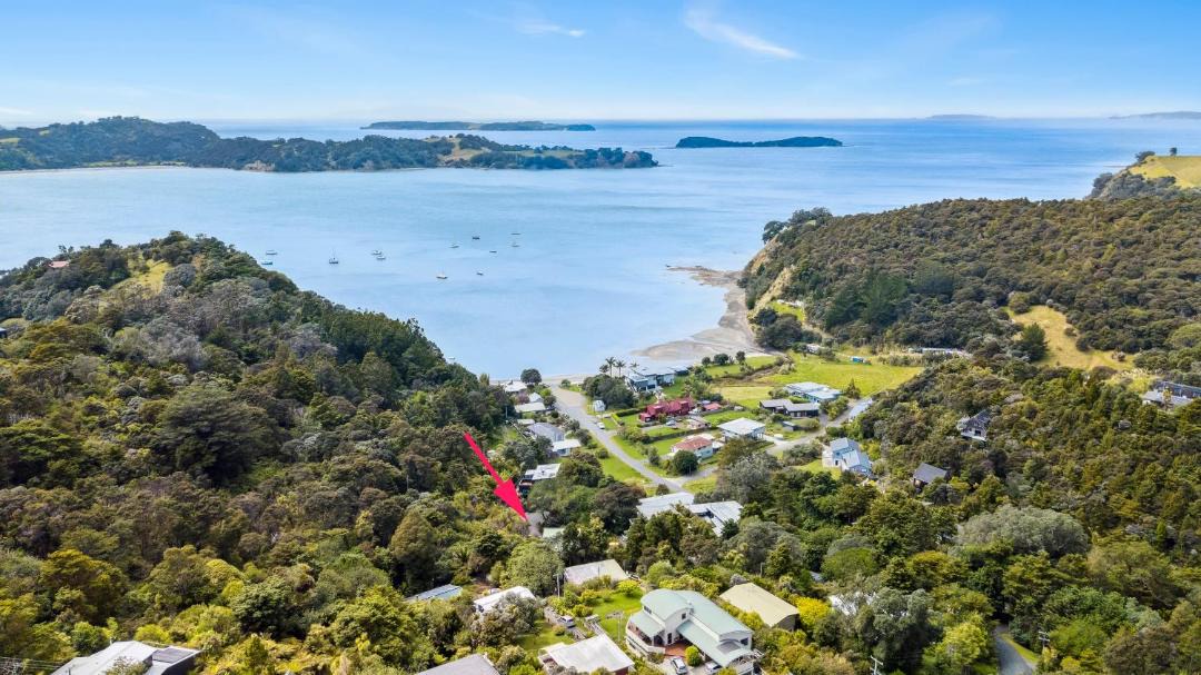 Photo of Others in Mahurangi West