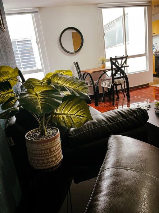 Photo of Livingroom in Doctores
