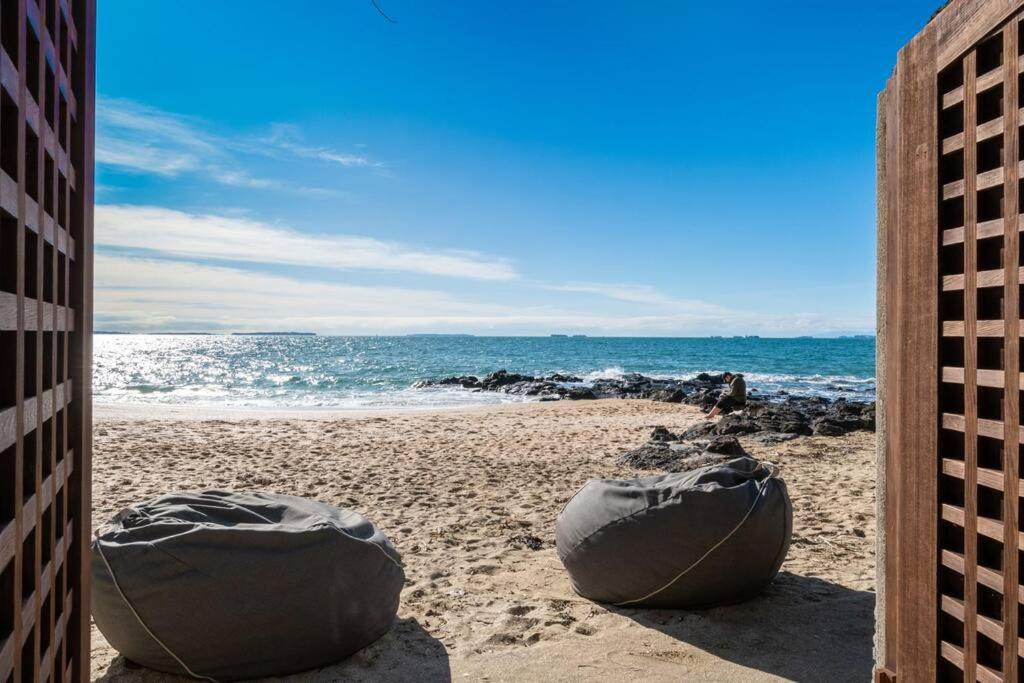 Photo of Others in Takapuna