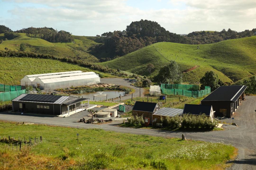 Photo of Others in Mahurangi West