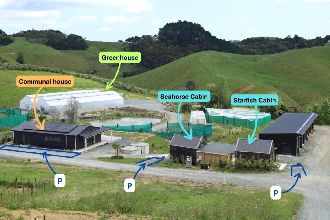 Photo of Others in Mahurangi West