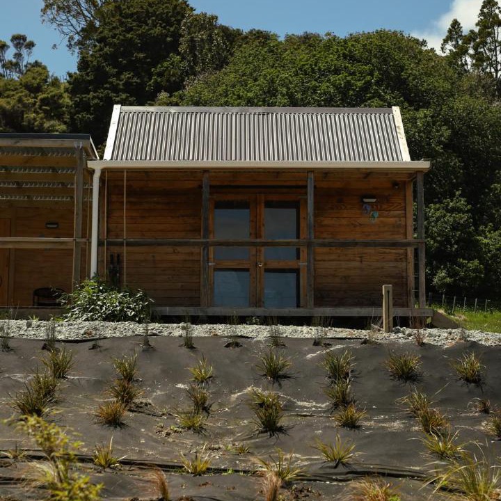 Photo of Others in Mahurangi West