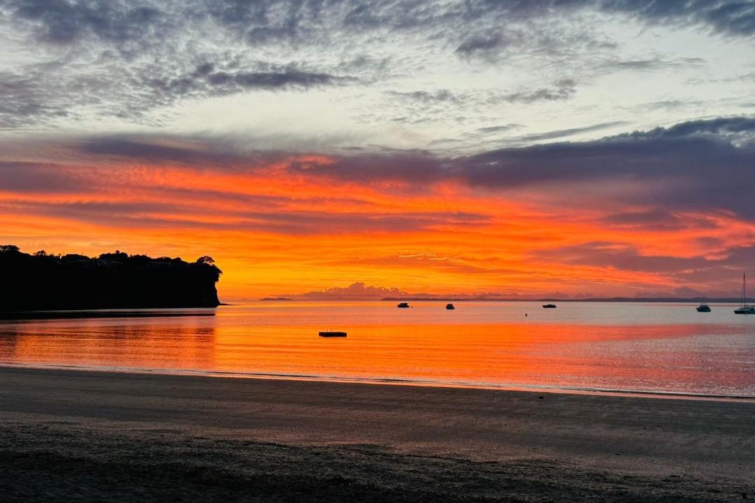 Photo of Others in Arkles Bay