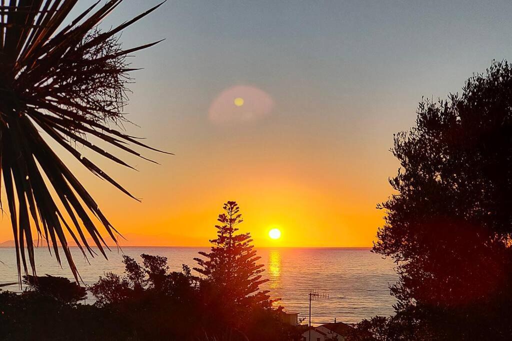 Photo of Others in Paekakariki