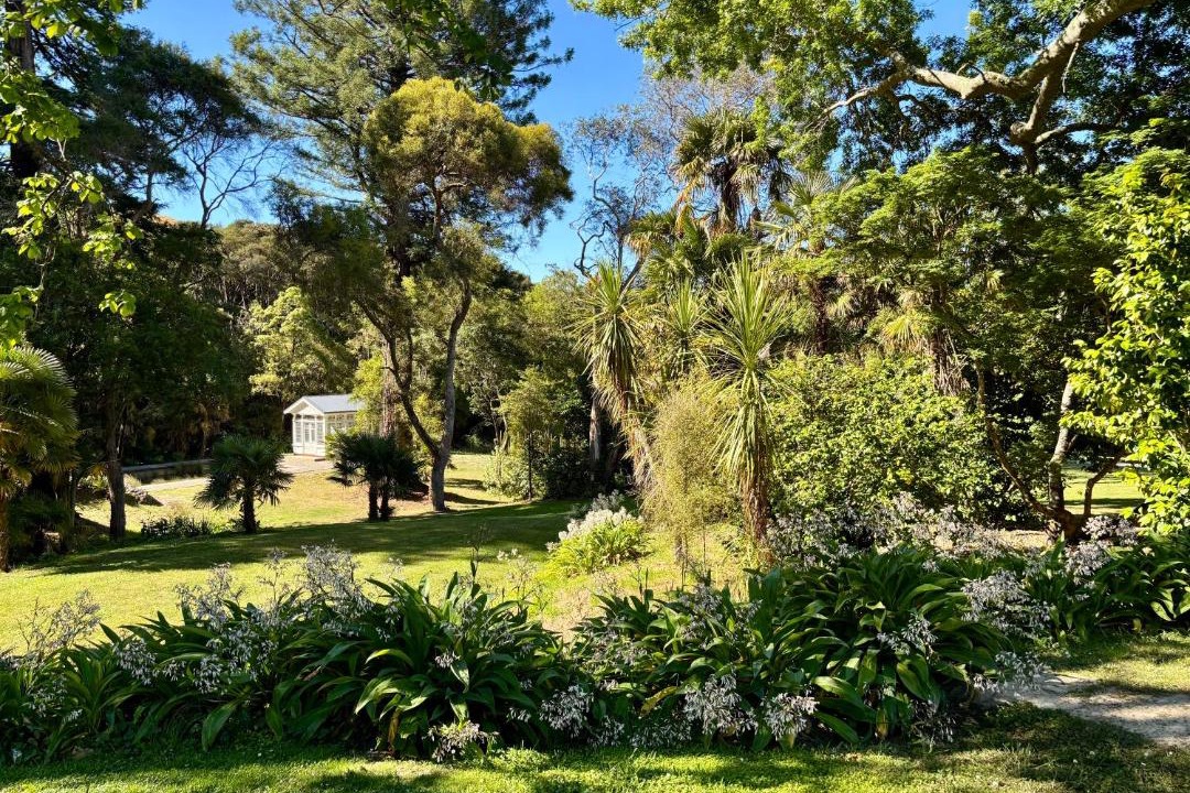 Photo of Others in Martinborough