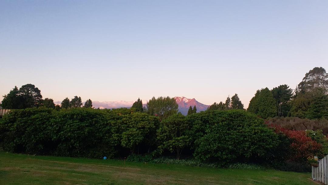 Photo of Others in Rangataua