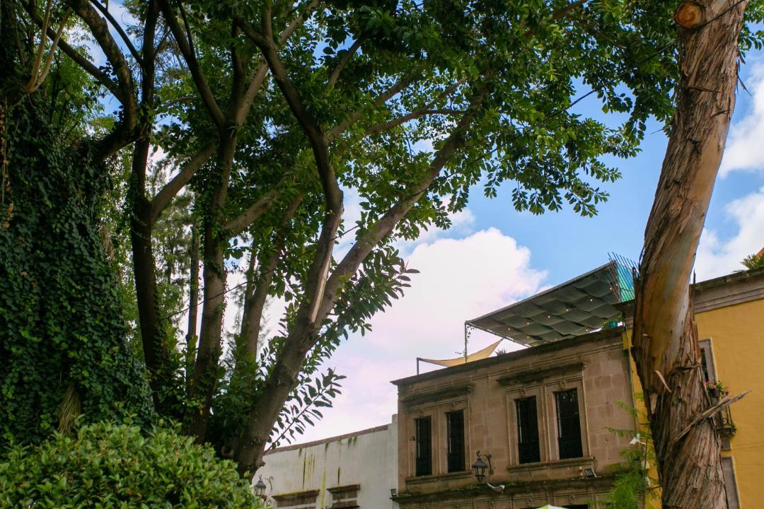 Photo of Others in Historic Centre
