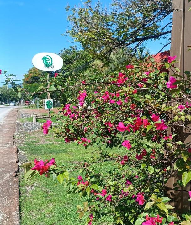 Photo of Outdoor in Yautepec