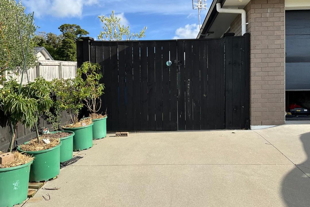 Photo of Others in Pukekohe
