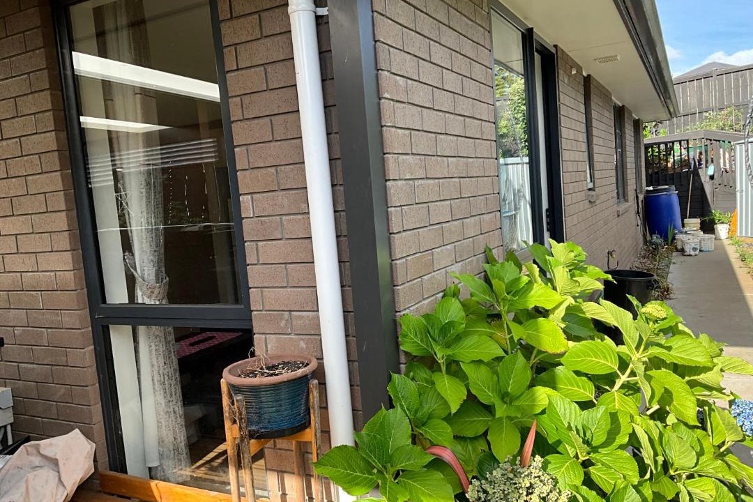 Photo of Patio Balcony in Pukekohe
