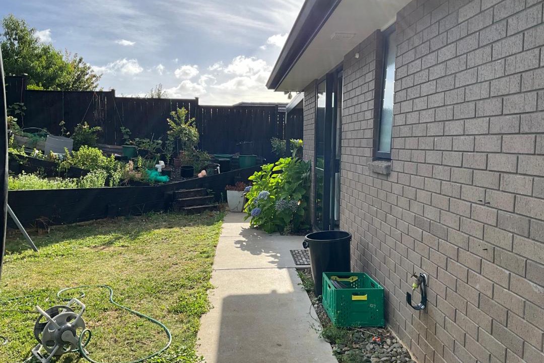 Photo of Others in Pukekohe