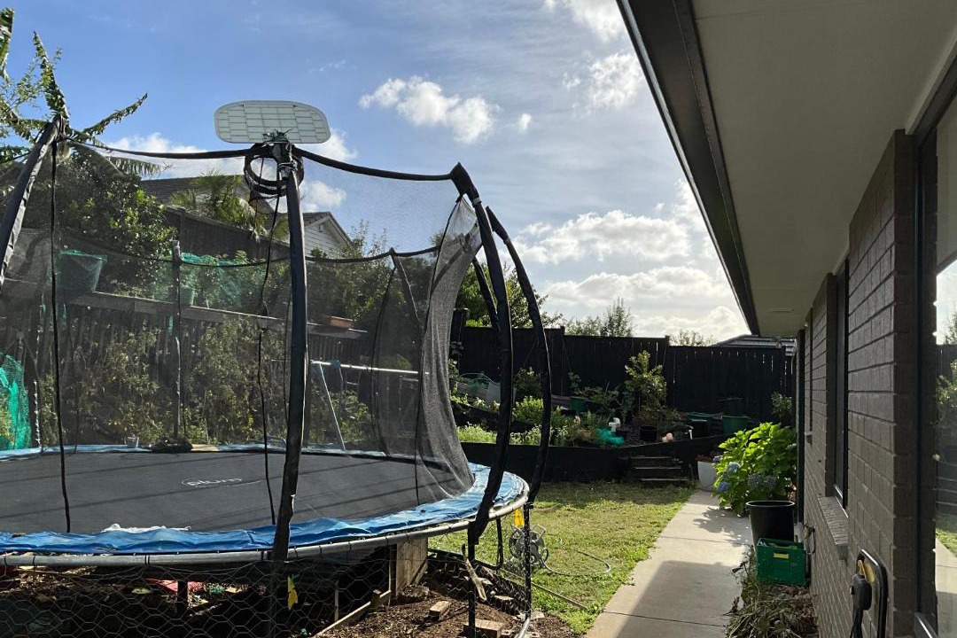 Photo of Others in Pukekohe
