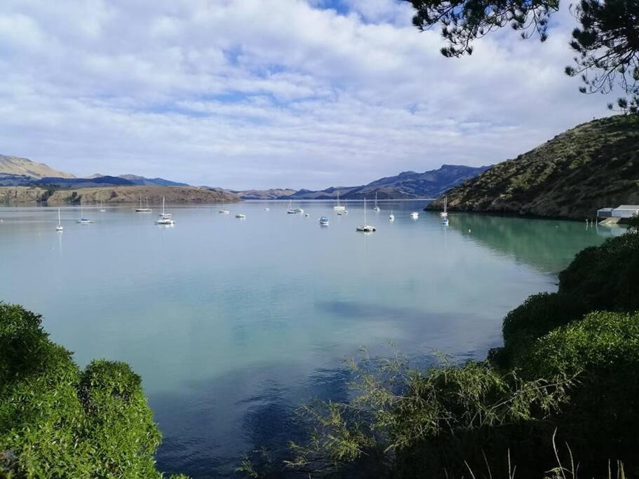 Photo of Others in Christchurch District