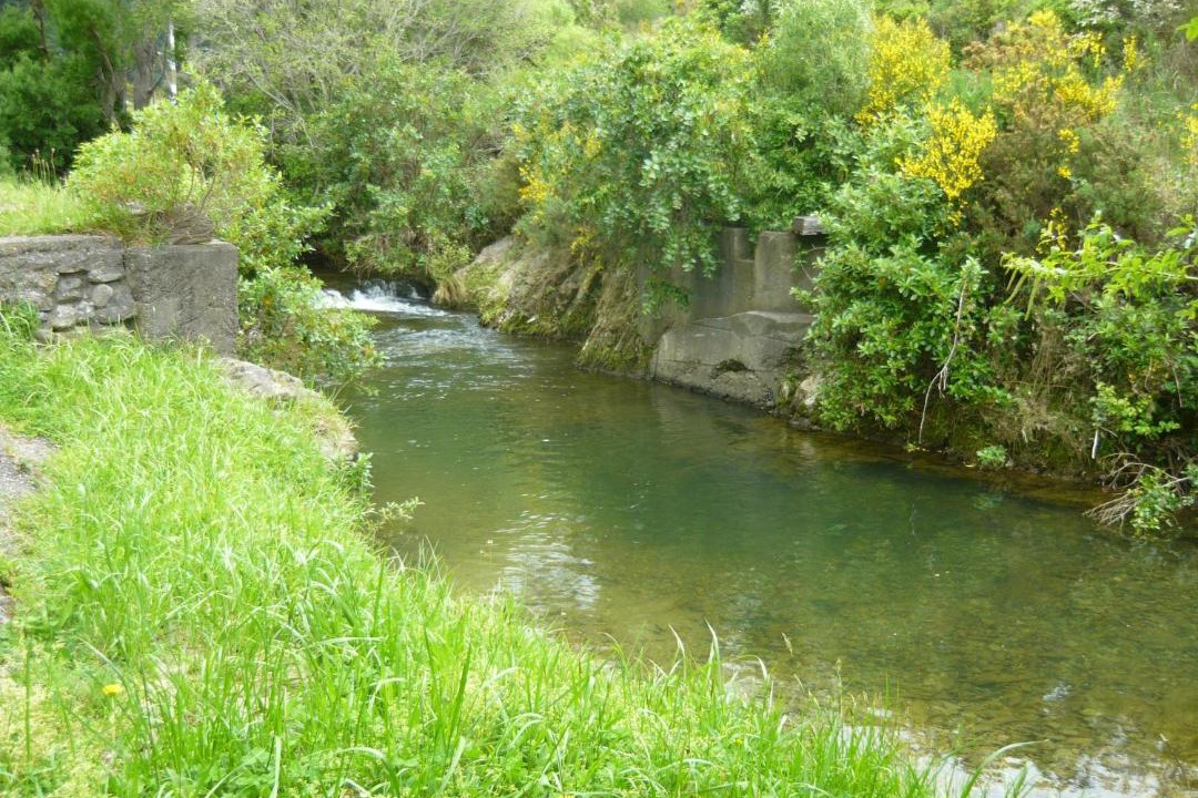 Photo of Others in Picton