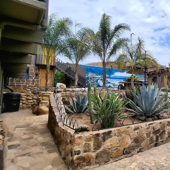 Photo of Others in Ensenada