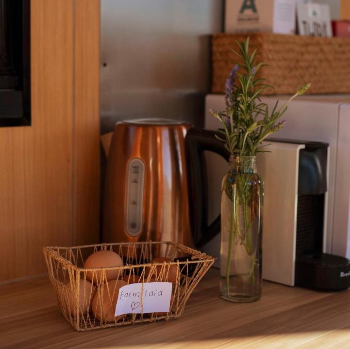 Photo of Kitchen in Whakamarama
