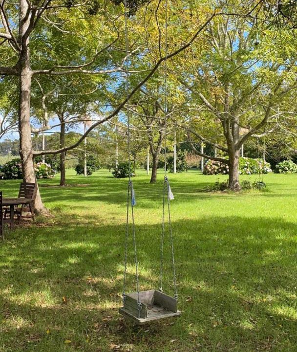 Photo of Outdoor in Tawharanui