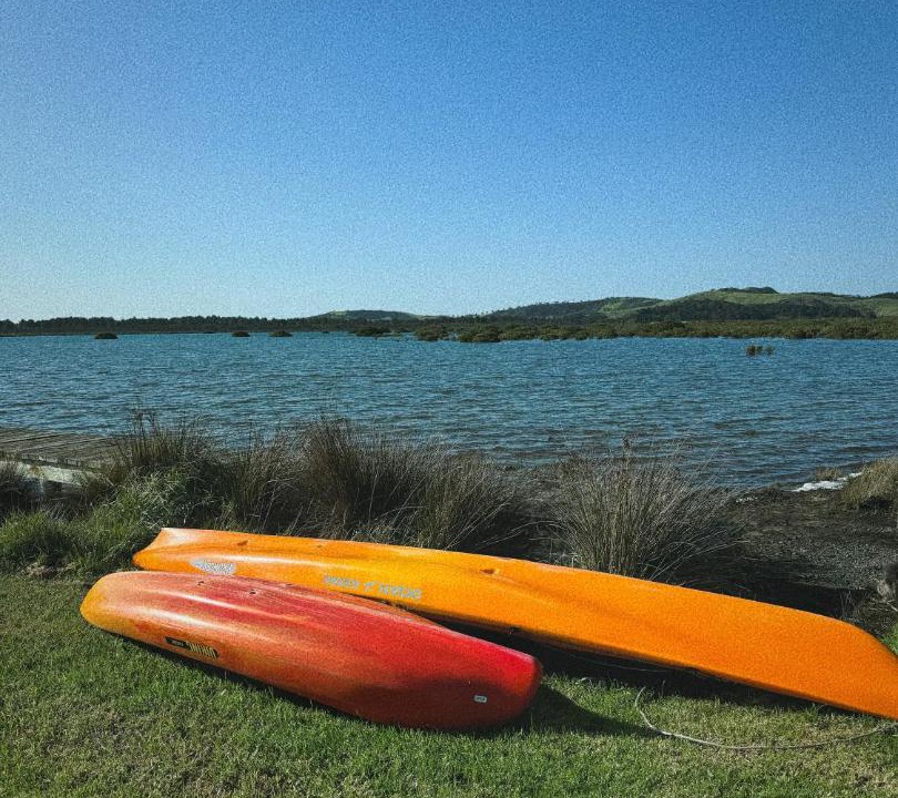 Photo of Outdoor in Tawharanui