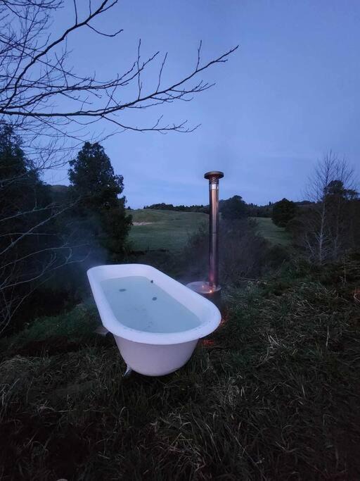 Photo of Others in Te Anga